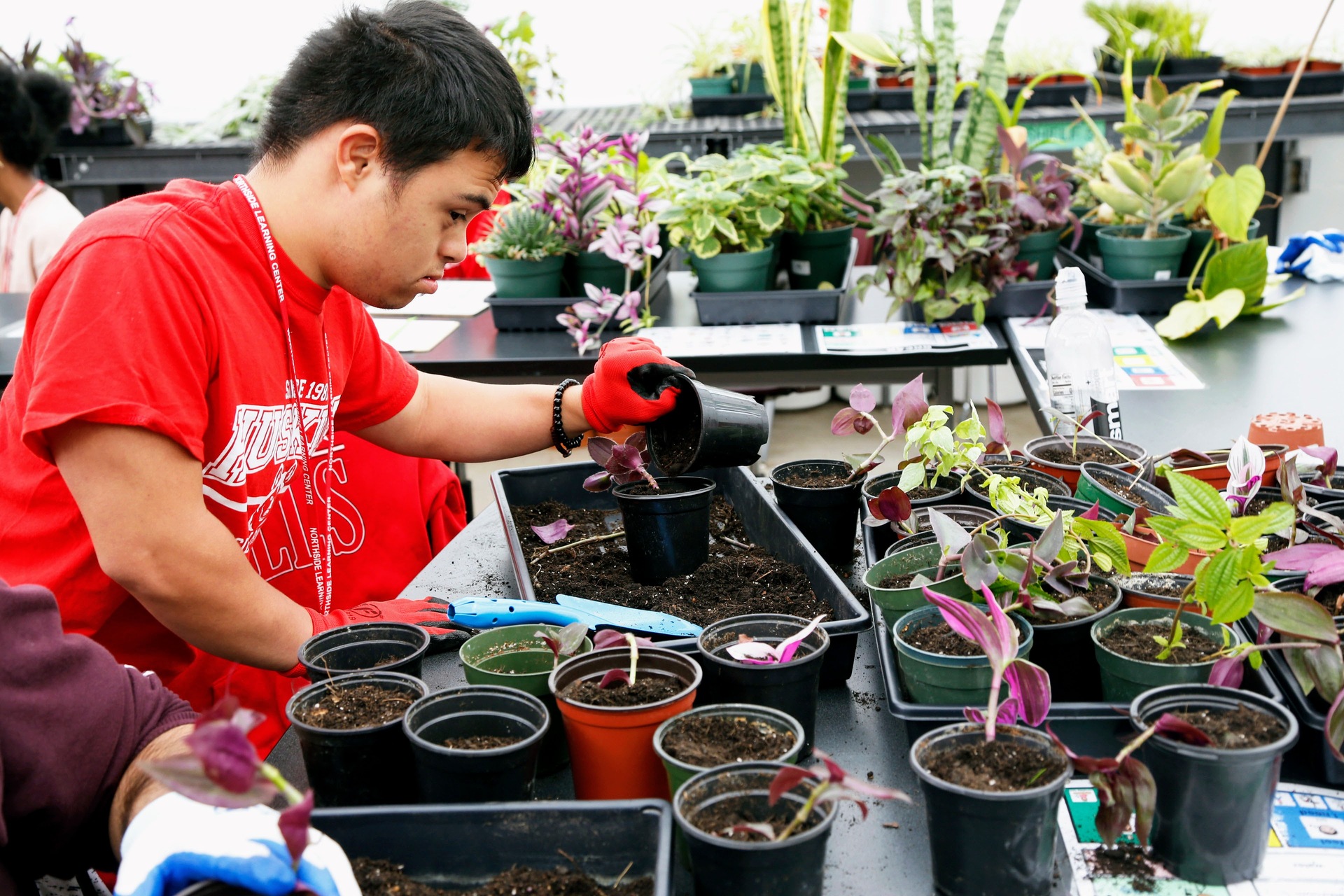 NORTHSIDE LEARNING gardening image