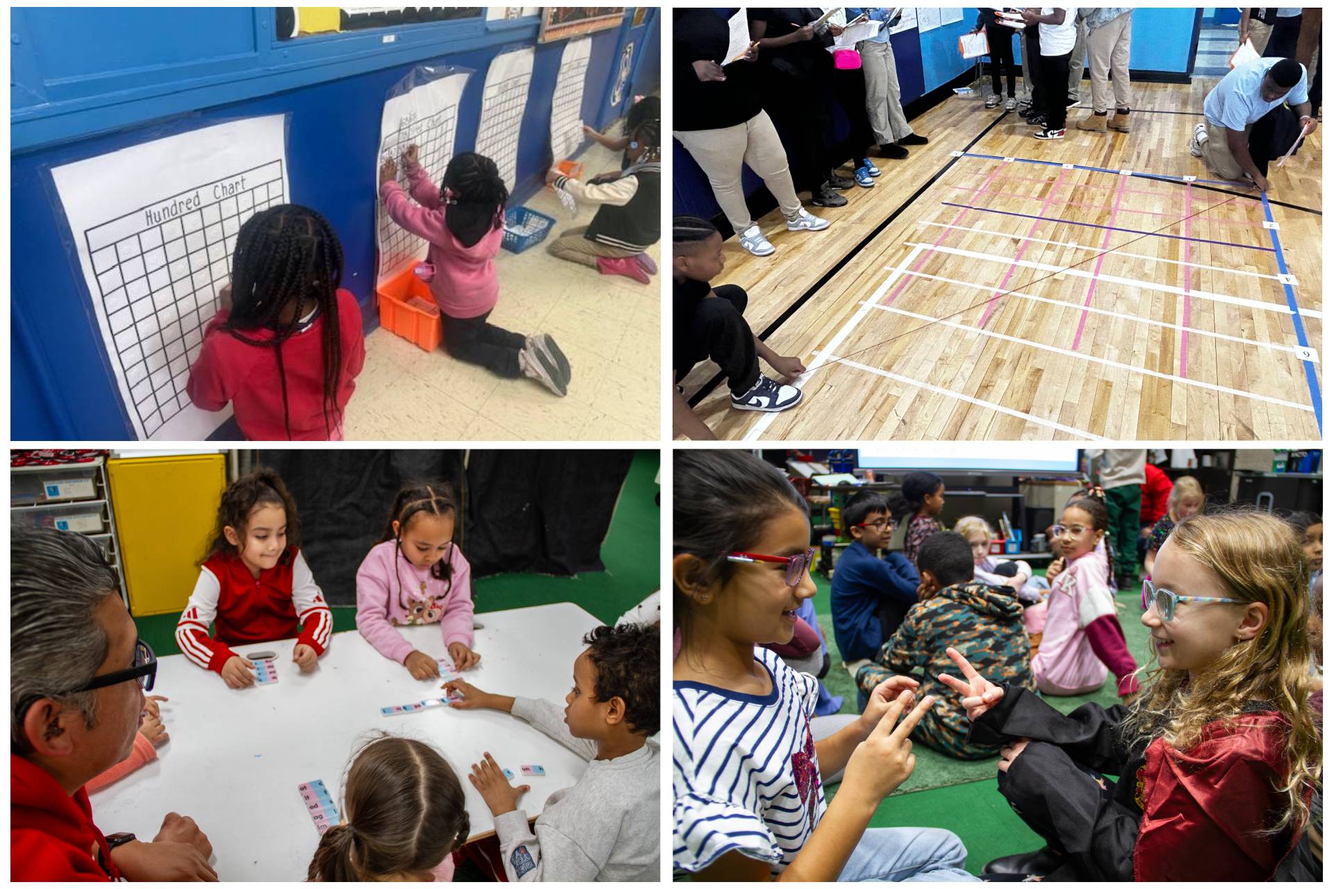 look around the district collage