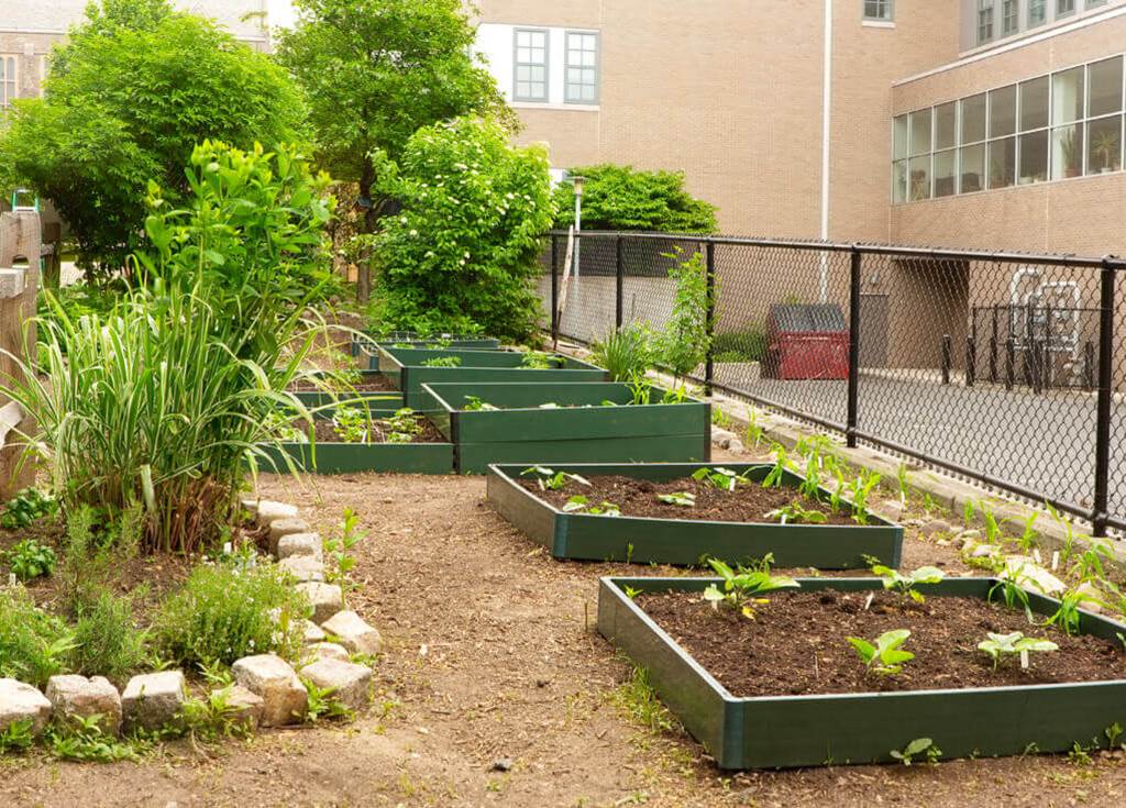 image of plants and bushes growing near a building