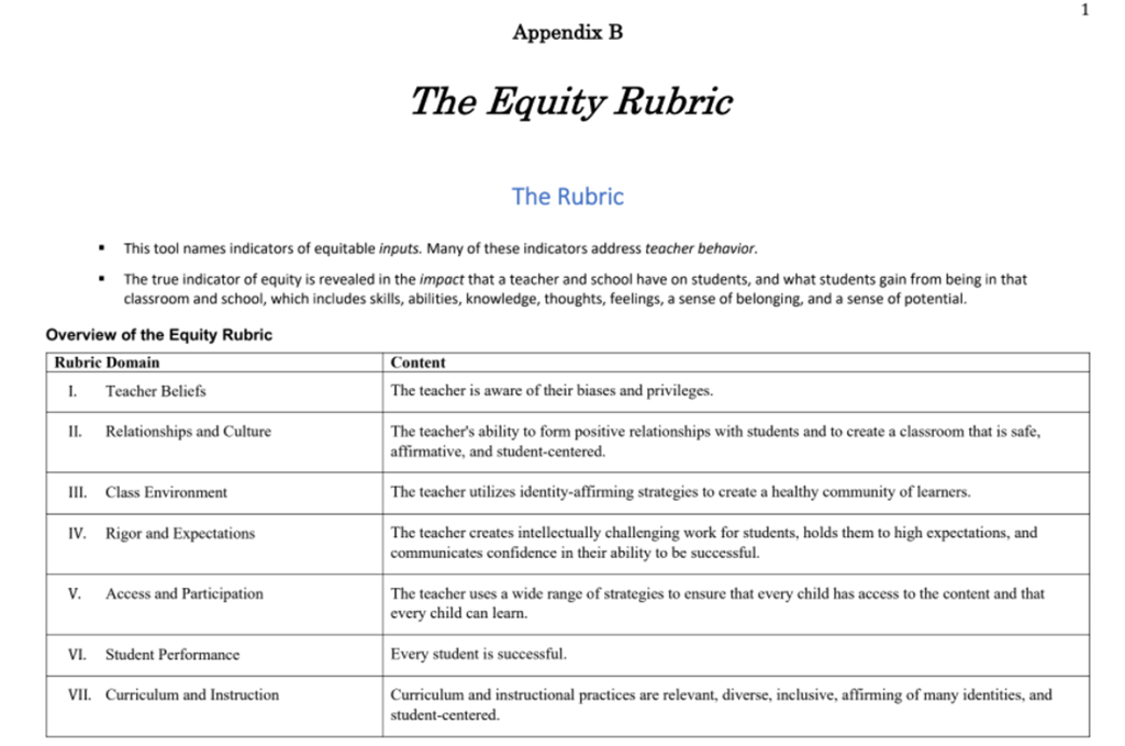 Equity Rubric Screenshot