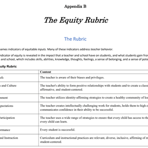 Equity Rubric Screenshot