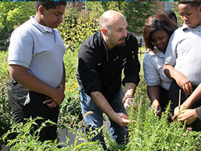 Teacher showing four students various plants in an outdoor environment