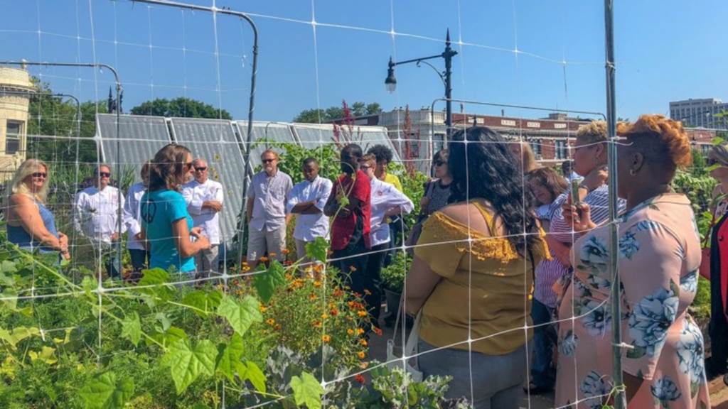 A group of people stand in a rooftop farm