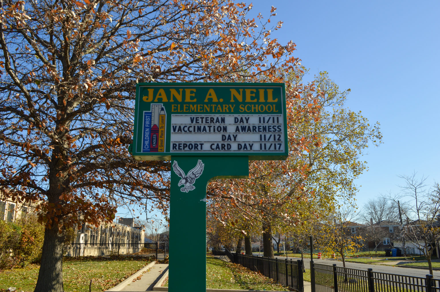 Jane A. Neil