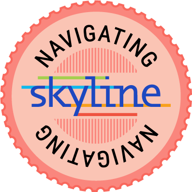 Navigating Skyline Badge